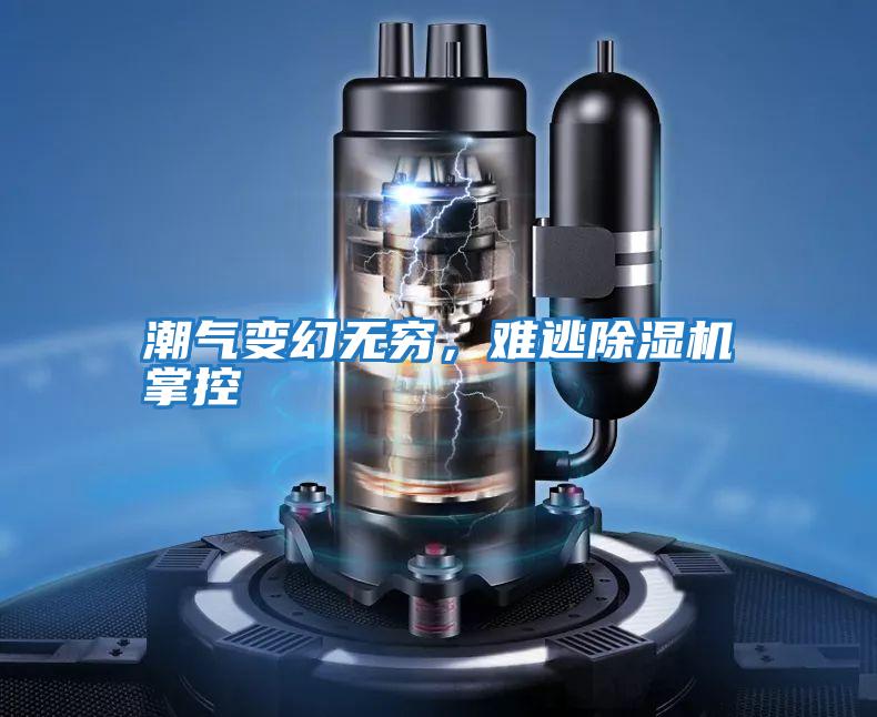 潮氣變幻無窮,難逃除濕機掌控