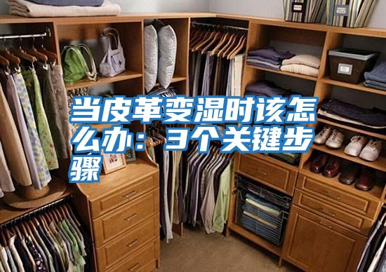 當皮革變濕時該怎么辦：3個關鍵步驟