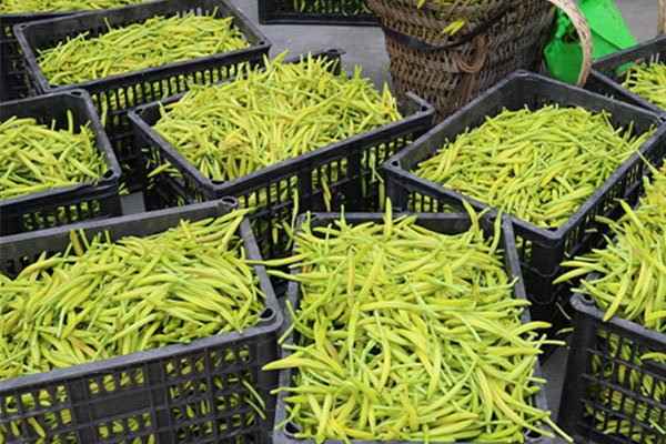 1525656102133797.jpg 6.jpg