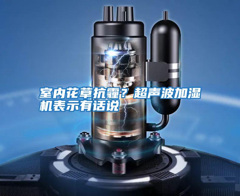 室內(nèi)花草抗霾?超聲波加濕機表示有話說