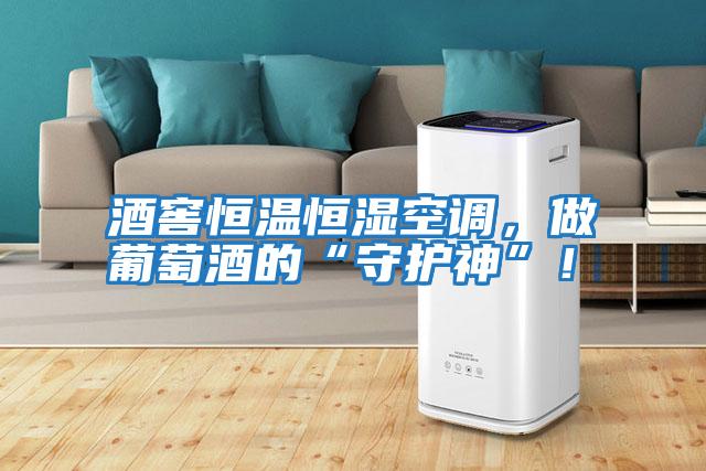 酒窖恒溫恒濕空調，做葡萄酒的“守護神”！