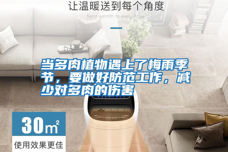 當多肉植物遇上了梅雨季節，要做好防范工作，減少對多肉的傷害