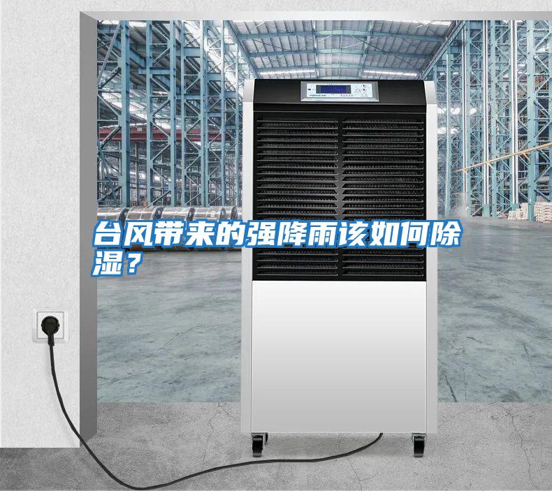 臺風帶來的強降雨該如何除濕？