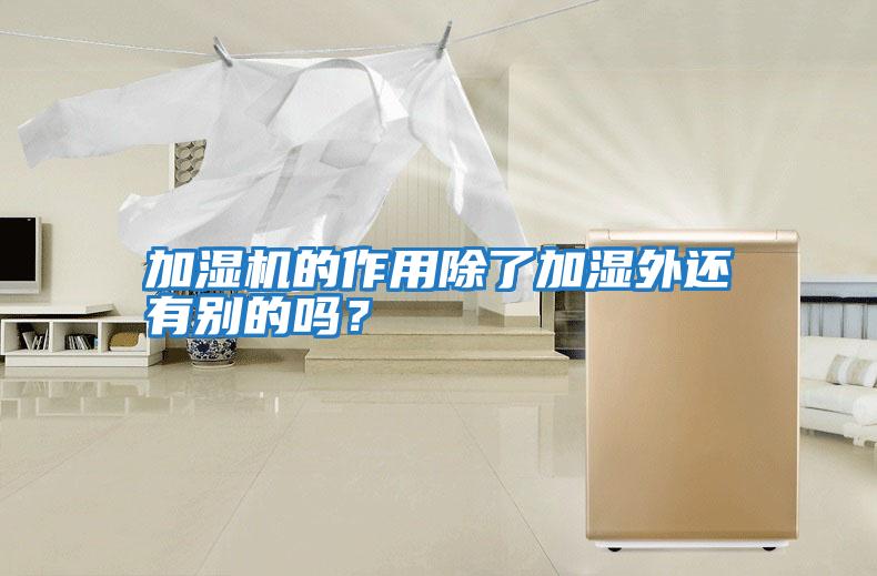 加濕機的作用除了加濕外還有別的嗎？