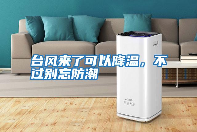 臺(tái)風(fēng)來(lái)了可以降溫，不過(guò)別忘防潮