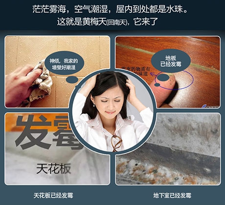 回南天書(shū)架防潮指南