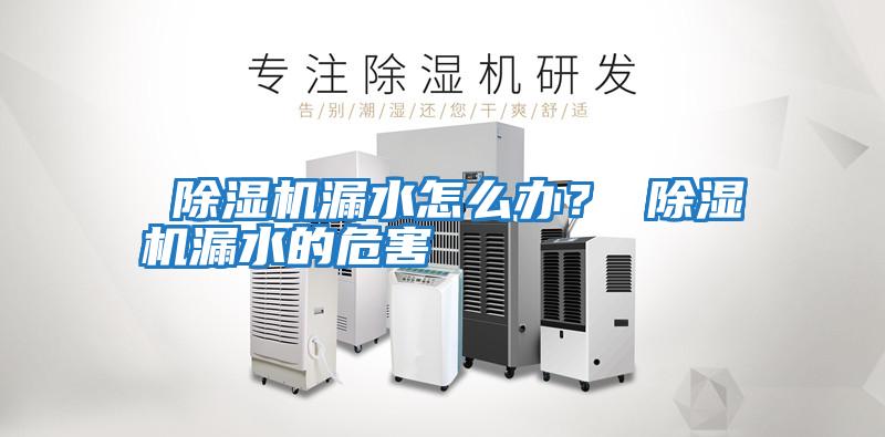  除濕機漏水怎么辦？ 除濕機漏水的危害
