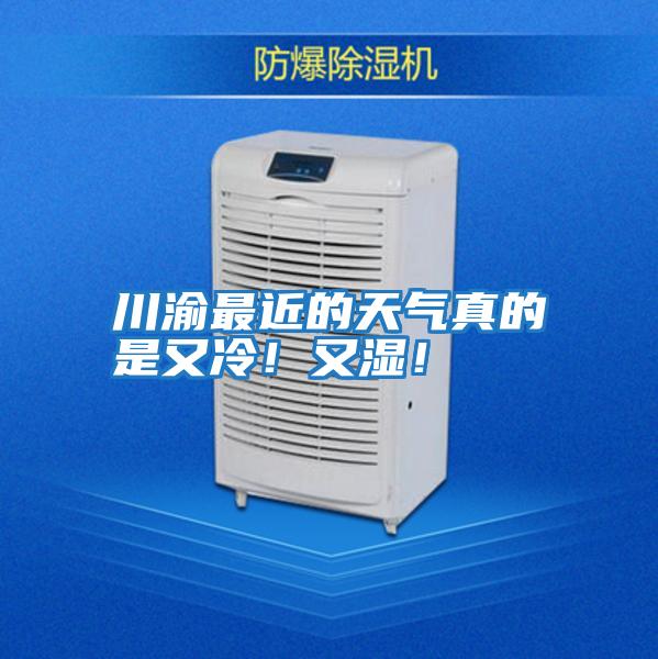 川渝最近的天氣真的是又冷!又濕!