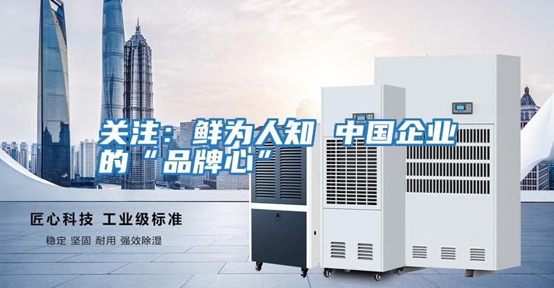 關(guān)注:鮮為人知 中國企業(yè)的“品牌心”
