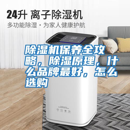 除濕機保養(yǎng)全攻略,除濕原理,什么品牌最好,怎么選購