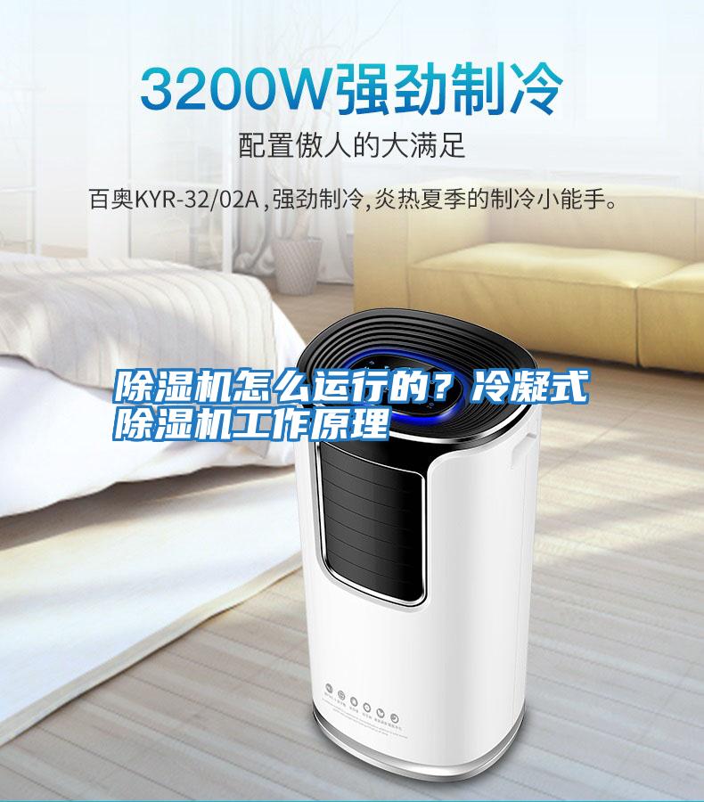 除濕機怎么運行的？冷凝式除濕機工作原理