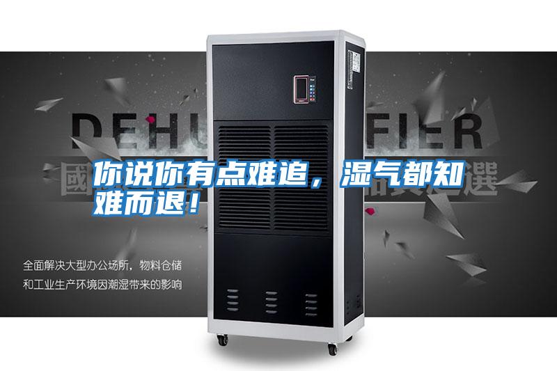 你說你有點難追，濕氣都知難而退！