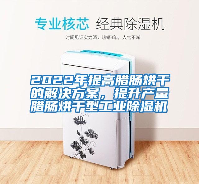 2022年提高臘腸烘干的解決方案,提升產(chǎn)量臘腸烘干型工業(yè)除濕機(jī)