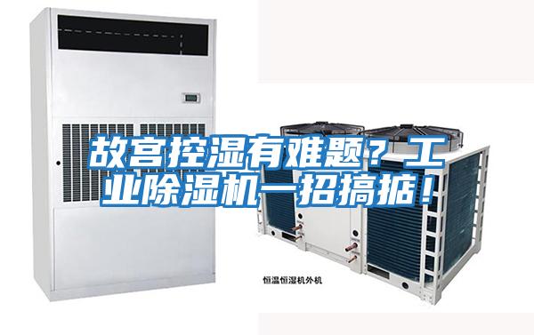 故宮控濕有難題？工業(yè)除濕機(jī)一招搞掂！