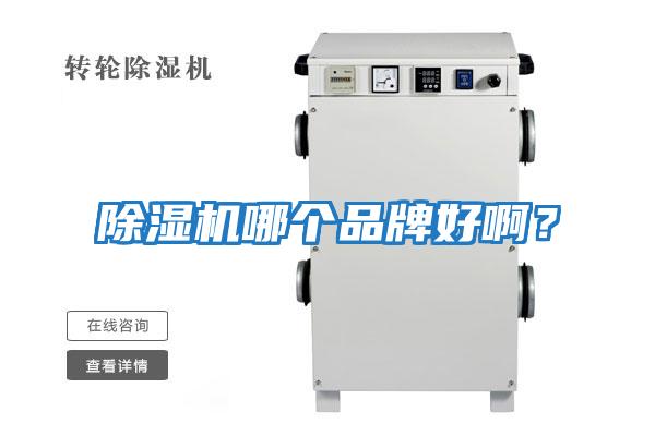 除濕機哪個品牌好?。?/></p>
						    <p style=