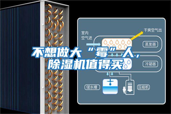 不想做大“霉”人，除濕機值得買