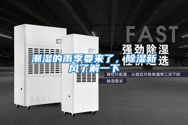 潮濕的雨季要來了,除濕新風了解一下