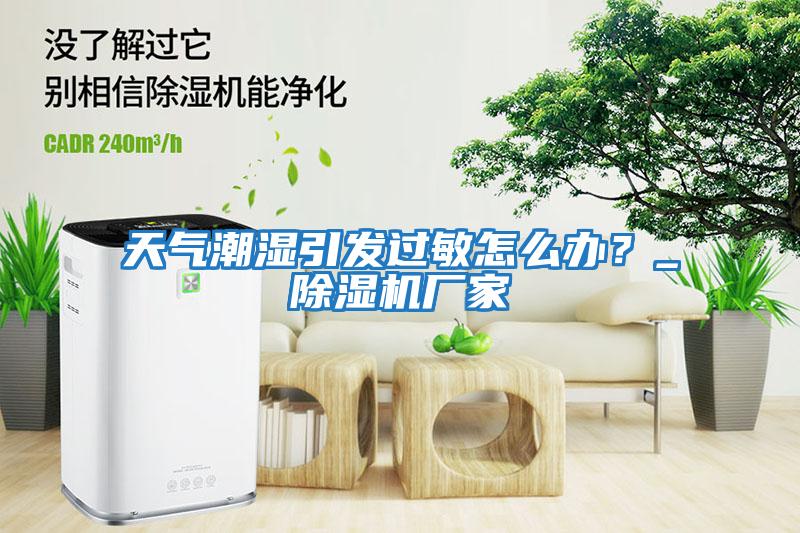 天氣潮濕引發(fā)過敏怎么辦?_除濕機(jī)廠家