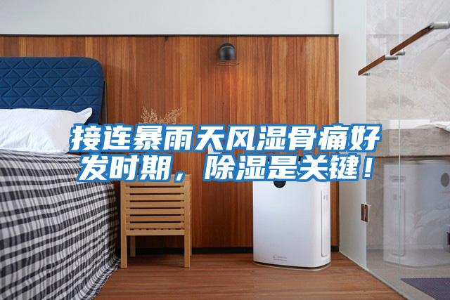 接連暴雨天風濕骨痛好發時期，除濕是關鍵！