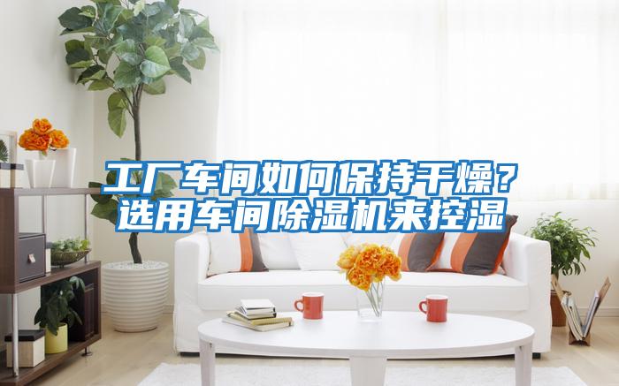 工廠車間如何保持干燥？選用車間除濕機(jī)來控濕