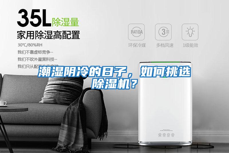 潮濕陰冷的日子，如何挑選除濕機(jī)？