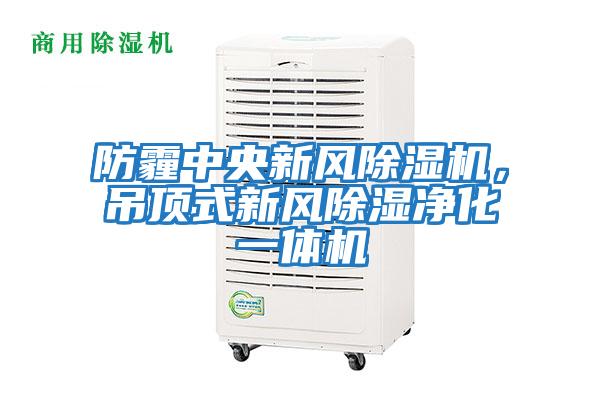 防霾中央新風除濕機，吊頂式新風除濕凈化一體機