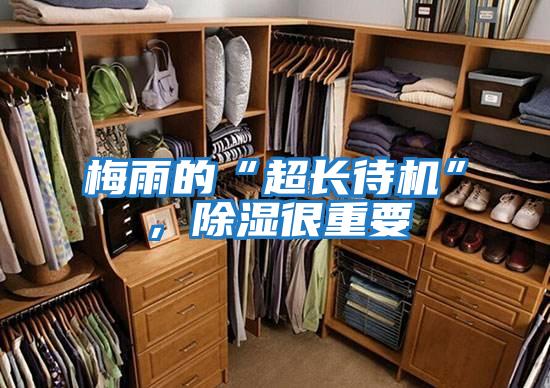 梅雨的“超長(zhǎng)待機(jī)”,除濕很重要