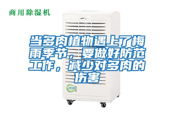 當多肉植物遇上了梅雨季節(jié)，要做好防范工作，減少對多肉的傷害