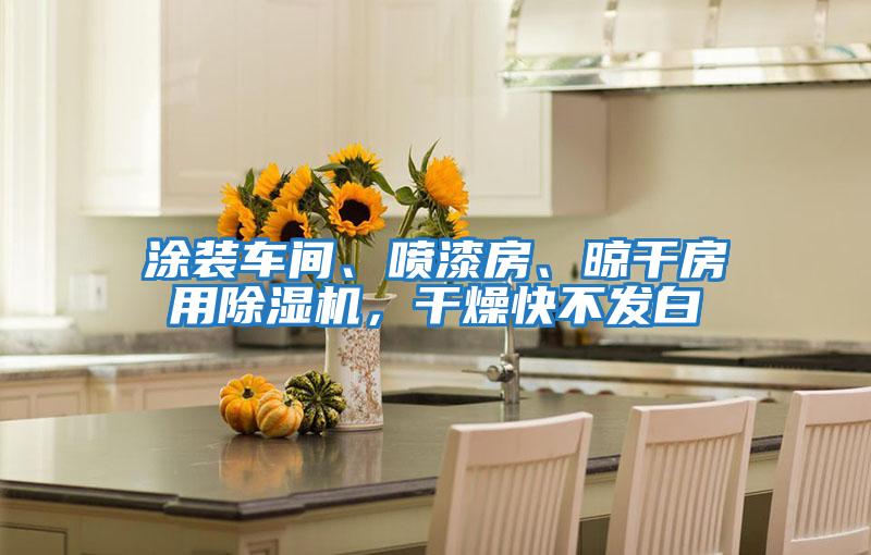涂裝車間、噴漆房、晾干房用除濕機,干燥快不發白