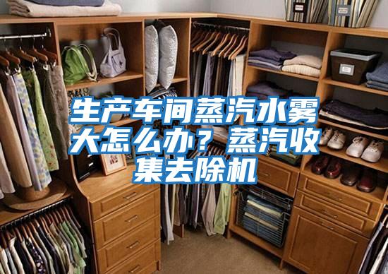 生產車間蒸汽水霧大怎么辦?蒸汽收集去除機