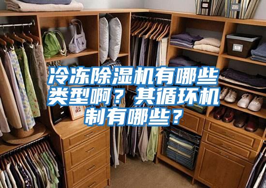 冷凍除濕機(jī)有哪些類型啊?其循環(huán)機(jī)制有哪些?