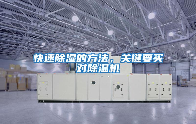 快速除濕的方法，關鍵要買對除濕機
