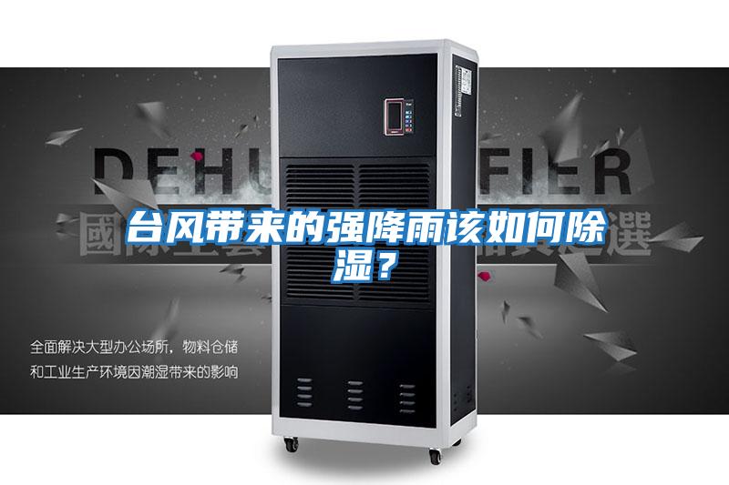 臺風帶來的強降雨該如何除濕？