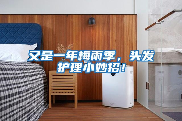 又是一年梅雨季,頭發護理小妙招!