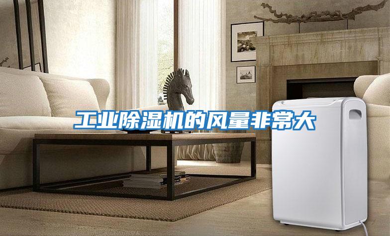 工業除濕機的風量非常大