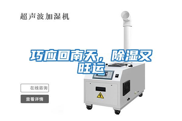 巧應回南天，除濕又旺運