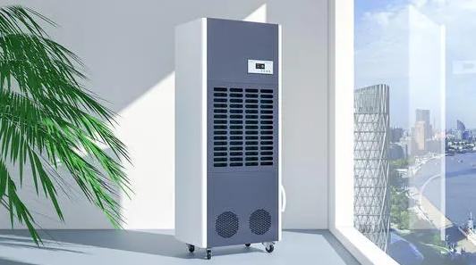 回南天跟潮，過敏濕疹找上門