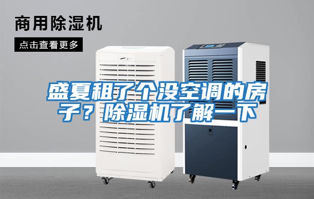 盛夏租了個(gè)沒(méi)空調(diào)的房子？除濕機(jī)了解一下