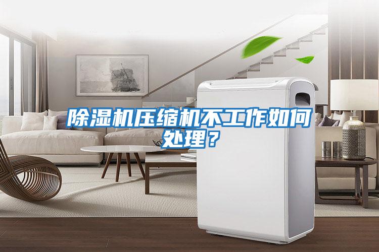 除濕機(jī)壓縮機(jī)不工作如何處理?
