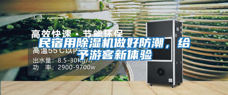 民宿用除濕機(jī)做好防潮，給予游客新體驗(yàn)