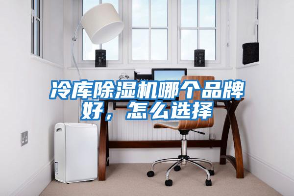 冷庫除濕機(jī)哪個品牌好,怎么選擇