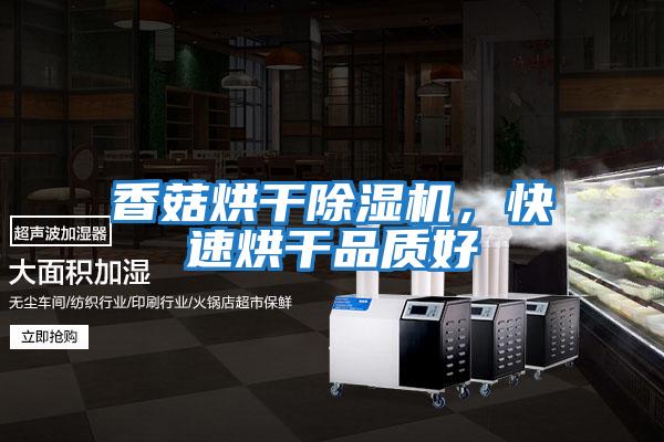 香菇烘干除濕機,快速烘干品質(zhì)好