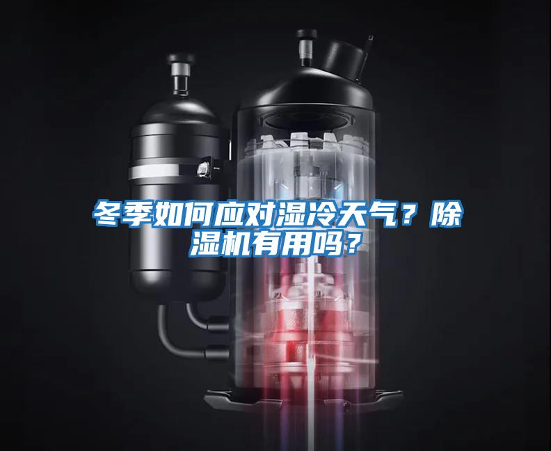 冬季如何應對濕冷天氣?除濕機有用嗎?