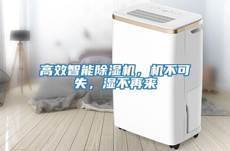 高效智能除濕機(jī),機(jī)不可失,濕不再來(lái)