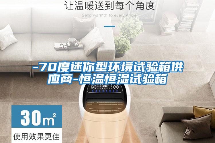 -70度迷你型環境試驗箱供應商-恒溫恒濕試驗箱