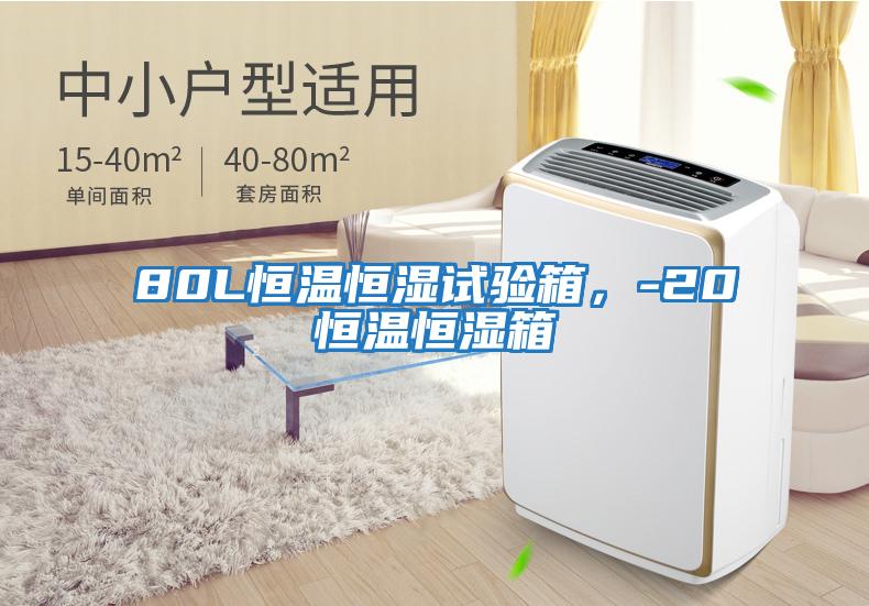 80L恒溫恒濕試驗(yàn)箱，-20℃恒溫恒濕箱