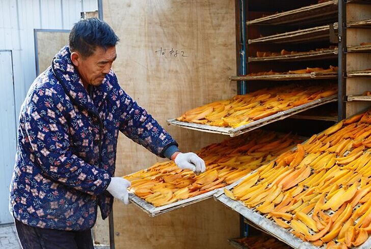 高溫烘干機在大型農業部門才更具有經濟可行性_重復