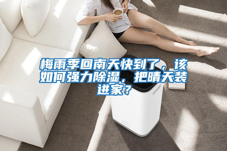 梅雨季回南天快到了,該如何強力除濕,把晴天裝進家?