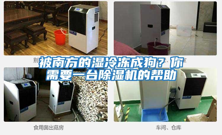 被南方的濕冷凍成狗?你需要一臺除濕機(jī)的幫助