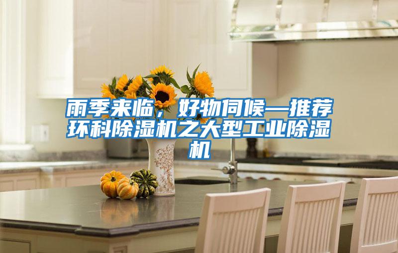 雨季來臨，好物伺候—推薦環(huán)科除濕機(jī)之大型工業(yè)除濕機(jī)
